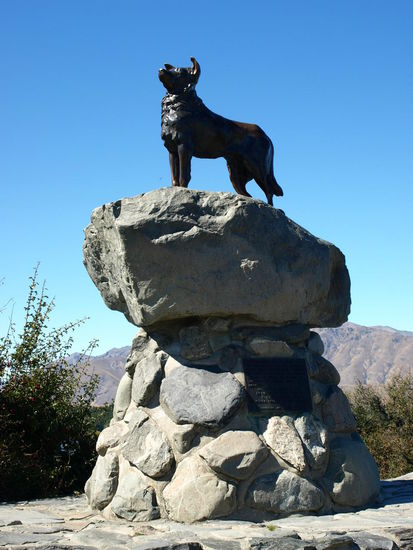 Bronze Statue "Sheepdog"