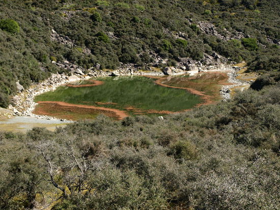 an einem Blue Lake vorbei, auch wenn der eher ein green lake ist
