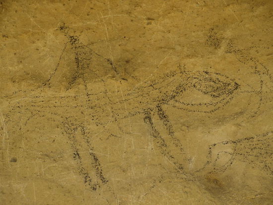 So spektakulär sind sie jetzt nicht