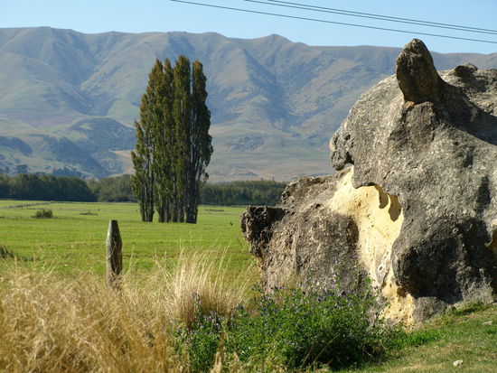 Für mich sieht das wie ein Hundekopf aus