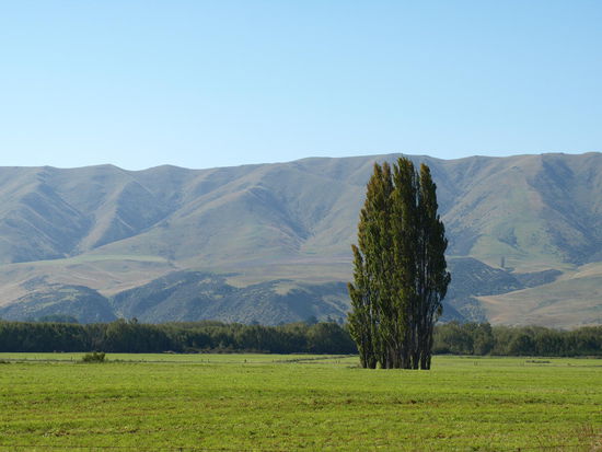 und das ist sein Ausblick