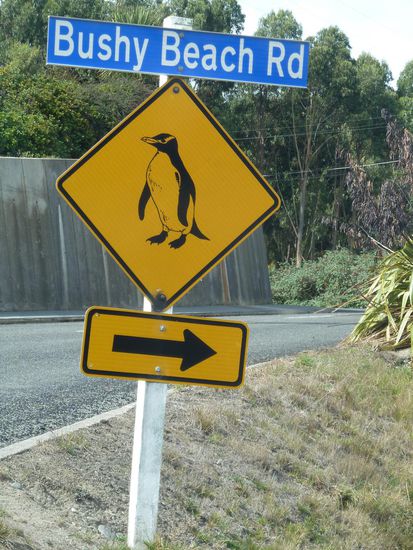 Das Schild musste natürlich sein, ist ja ein anderer Pinguin drauf 