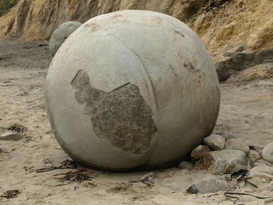 Hier mal einer alleine und nicht im Sand eingegraben