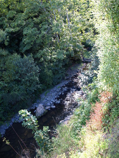 Gleich hinter meinem Studio ein kleiner Bach