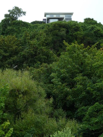 Und Oberhalb des Baches und meines Studios "a room with a view"