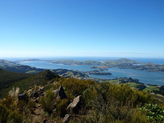 Blick auf die Otago Halbinsel
