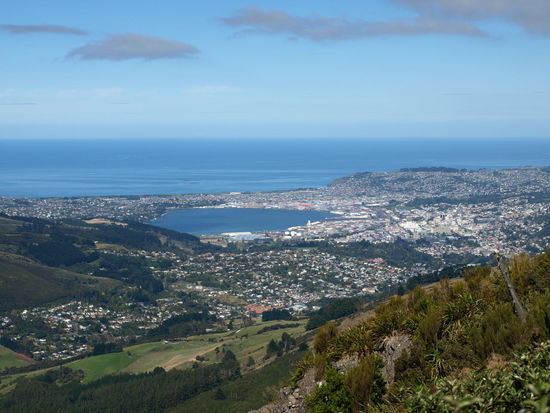 Blick auf Dunedin