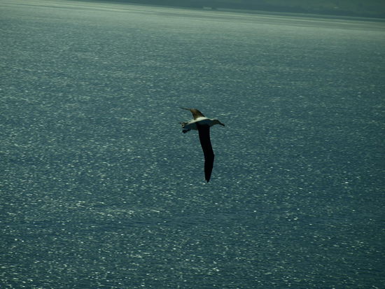 Füße schon mal zur Landung ausgefahren