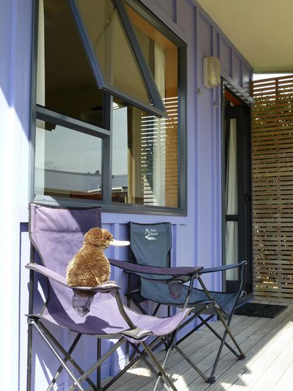 Kiwi hat es sich mal ohne Schatzkästchen im Campingstuhl bequem gemacht