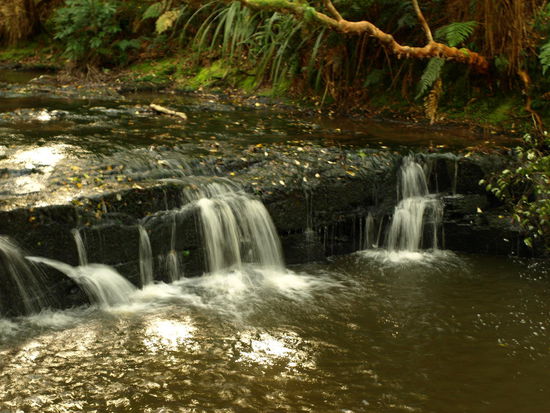 Nein, das sind sie noch nicht