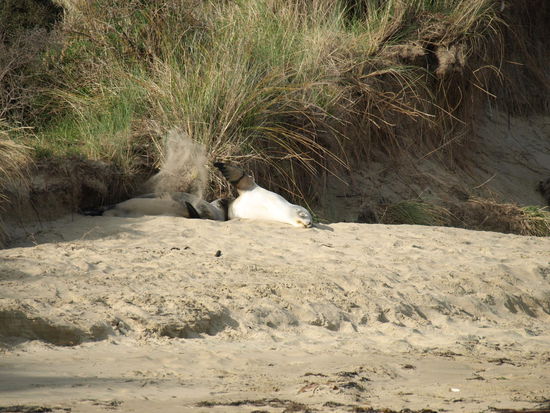 zwei Damen spielen im Sand
