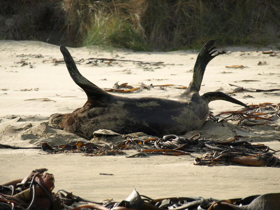 Bitte einmal richtig Strecken