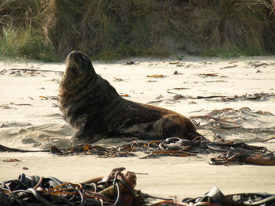 und dann mal aufsetzten