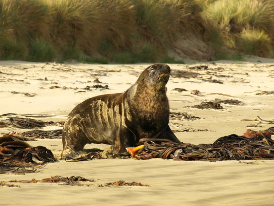 doch in Bewegung setzten