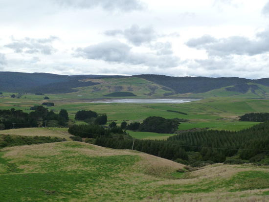 Die Hügellandschaft der Catlins erinnert mich sehr an Schottland