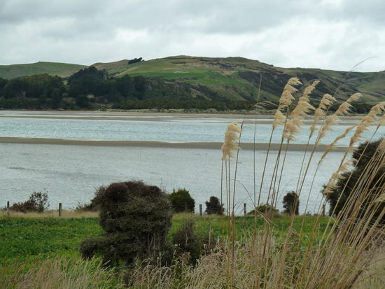 Blick auf Waikawa Hafen - wo sind nur die Boote