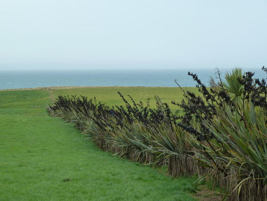 Das ist der Weg runter zum südlichsten Punkt Neuseelands