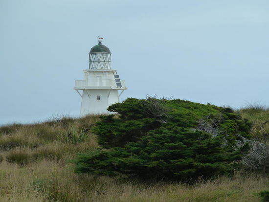 Auch hier ist das Gestrüpp (Bäume) vom Wind "geprägt"