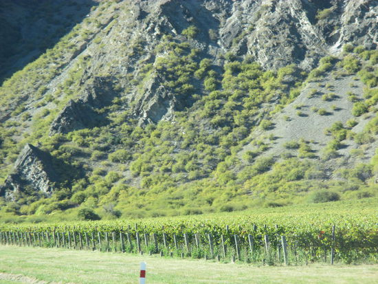 Weingut am Straßenrand im Gibson Valley