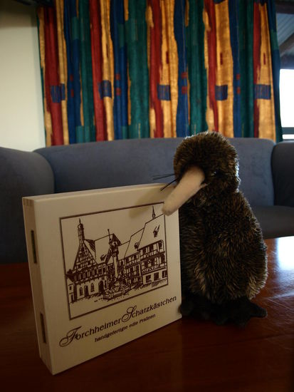 Kiwi hat sich diesmal den Fernsehtisch als "Nest" ausgesucht