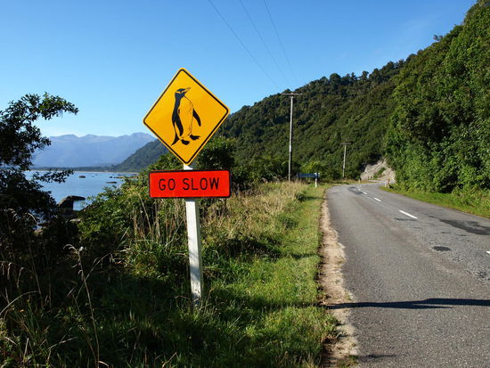 Der Weg zurück - diesmal das Pinguin-Schild auf der anderen Seite