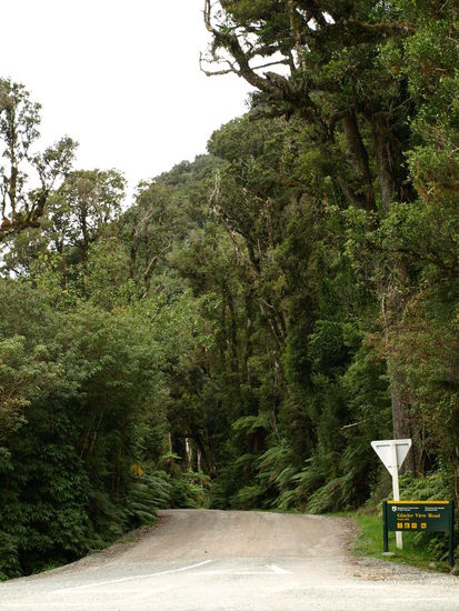 Ich führ dann noch die Glacier View Road, um einen besseren Blick auf den Gletscher werfen zu können