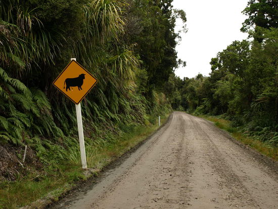 Zur Abwächslung mal ein Achtung Schafe Schild