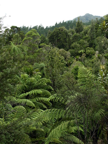 Unterwegs auf der No 309