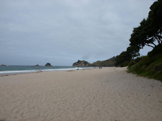 Hahei Beach