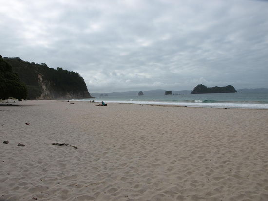 Hahei Beach