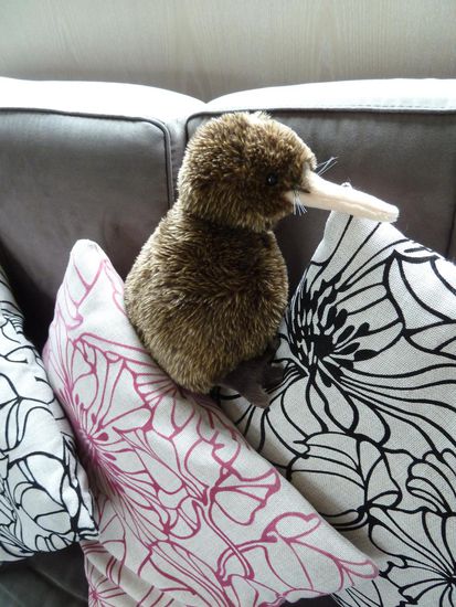 Kiwi ist natürlich dabei - das leere Schatzkästchen muss noch gefüllt werden