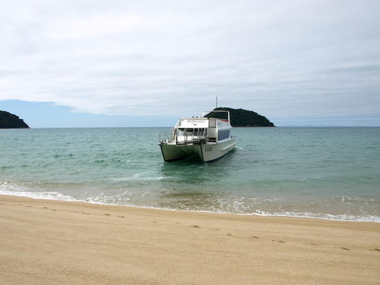 und "alleine" gelassen