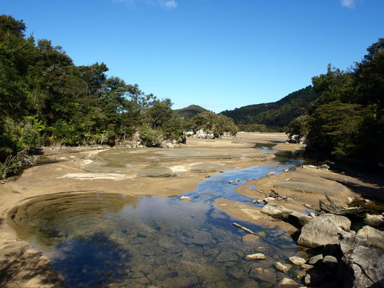 Ich hätte aber den richtigen zeitpunkt gewählt und auch so das Wetland durchqueren können