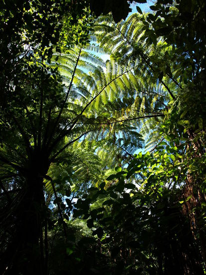 Ich kam mir leicht vor wie Indiana Jones