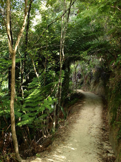 nur das ich mir meinen Weg nicht frei machen musste, der war super in schuss