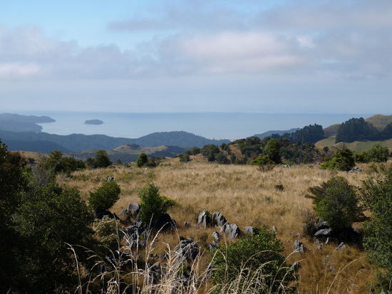 Jetzt aber Aussichtspunkt auf die Golden Bay
