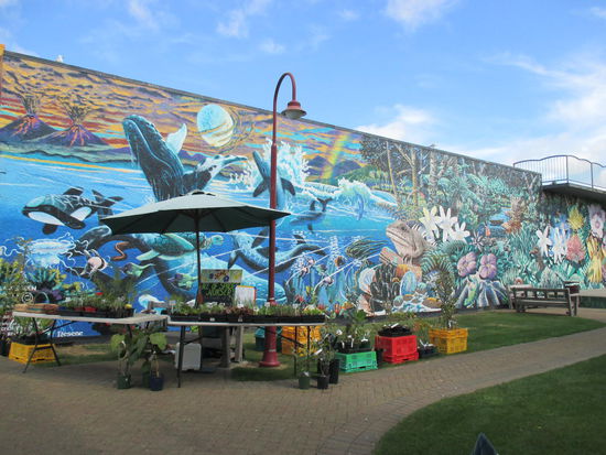 Auch hier Wandbilder