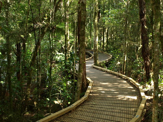 Ziemlich viele Wanderwege, die Seen entlang folgen oder durch Wetland gehen, sind als Boardwalk angelegt