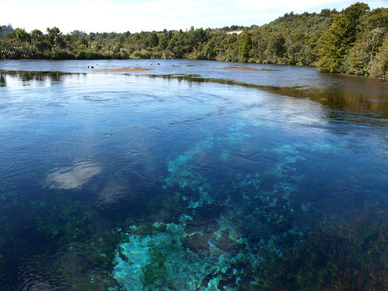 Das Wasser war einfach nur kristallklar