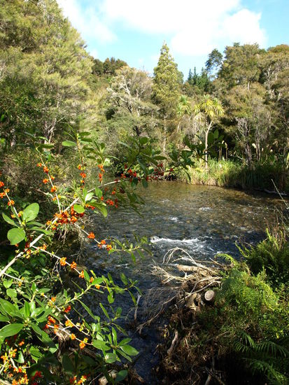 Kurz vorm Parkplatz - eine nette kleine Wanderung