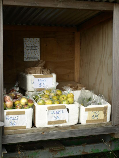 Auch in der Golden Bay gibt es Obst