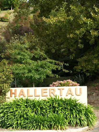 Ach ja, Hopfen wurde da auch angebaut, aber der war schon abgeerntet - sah aus wie um Ingoldtadt - der Name war wirklich Programm 