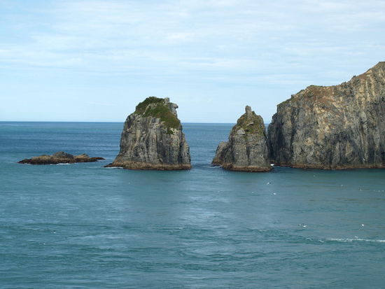 Kurz vor der Cook Strait