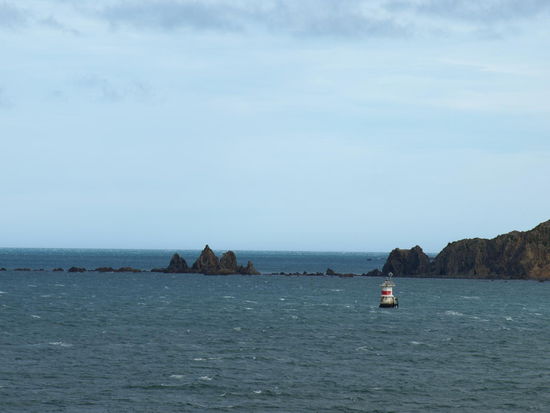 Die Cook Strait im Rücken - voraus die Vororte von Wellington
