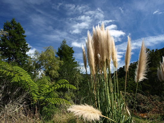 Weiter ging es zum nächsten Ziel....