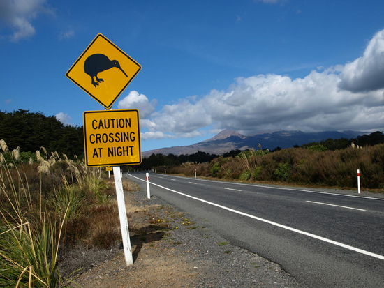 Natürlich musste auch dieses Kiwi-Schild aufs Bild