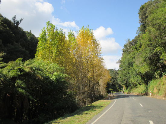Die Herbstfarben waren doch schon überall zu finden