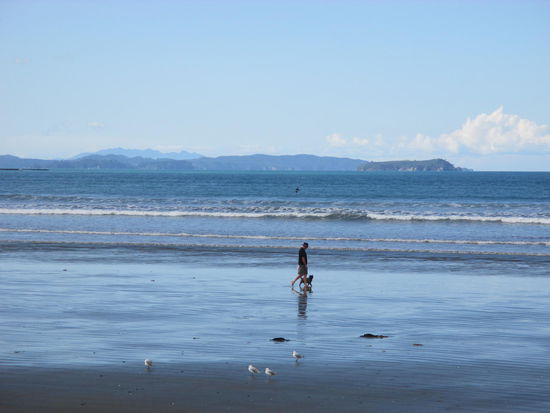 Der Strand - nicht verlassen