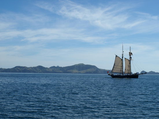 Es waren natürlich mehrere Segler unterwegs