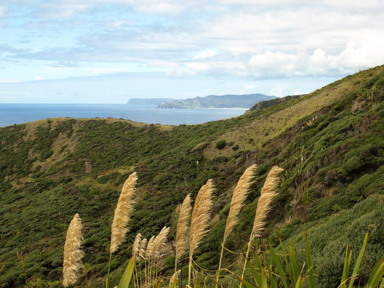 Eines der zwei Landzungen ist das Nordkap